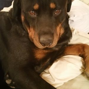 Meet your Posher, Pat